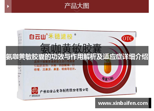 氨咖黄敏胶囊的功效与作用解析及适应症详细介绍